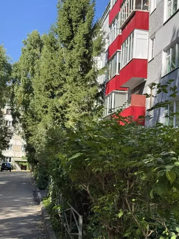 2-к кв. Татарстан, Казань ул. Братьев Касимовых, 66 (37.0 м) - Фото 1