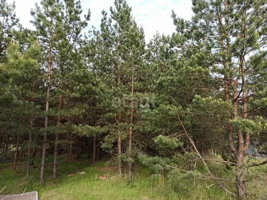 Купить Участок В Воронеже Рамонский Район