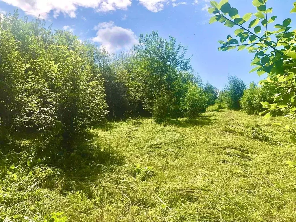 Участок в Пермский край, Лысьва ул. Халтурина (13.0 сот.) - Фото 2