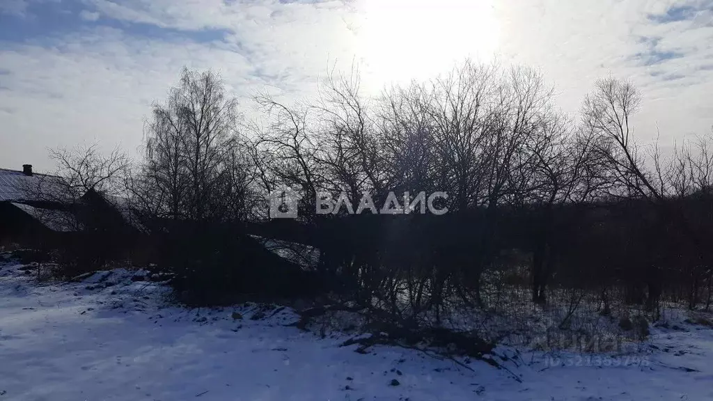 Участок в Владимирская область, Судогодский район, д. Дубенки  (23.0 ... - Фото 2