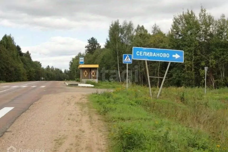 Участок в Ленинградская область, Волховский район, Селивановское ... - Фото 1