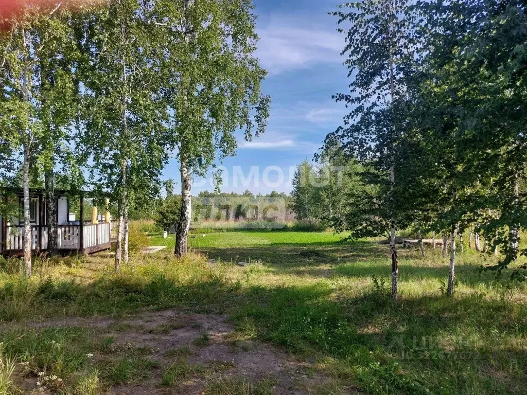 Участок в Челябинская область, Сосновский муниципальный округ, ... - Фото 2