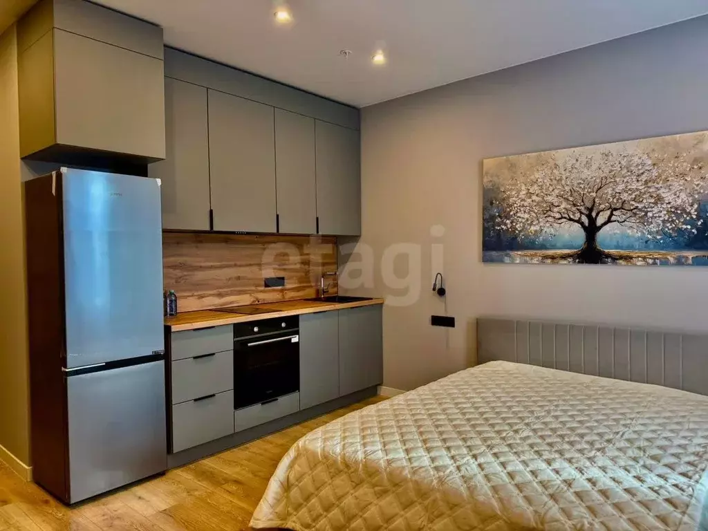 Студия Санкт-Петербург просп. Энергетиков, 2к1 (29.5 м) - Фото 1