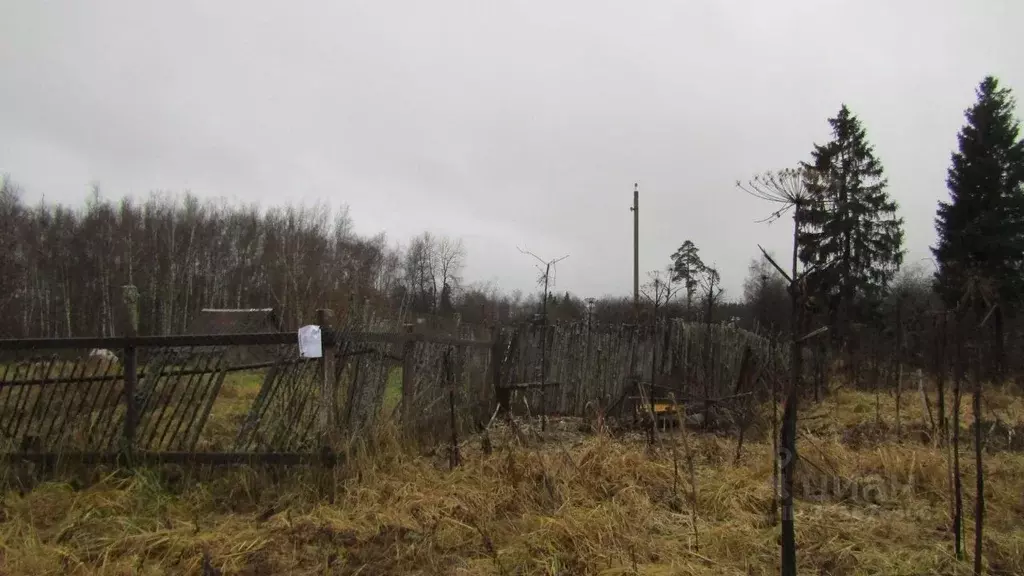 Участок в Московская область, Рузский муниципальный округ, пос. ... - Фото 1