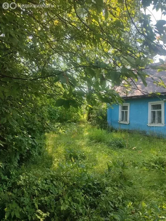 Участок в Ленинградская область, Гатчинский муниципальный округ, ... - Фото 1
