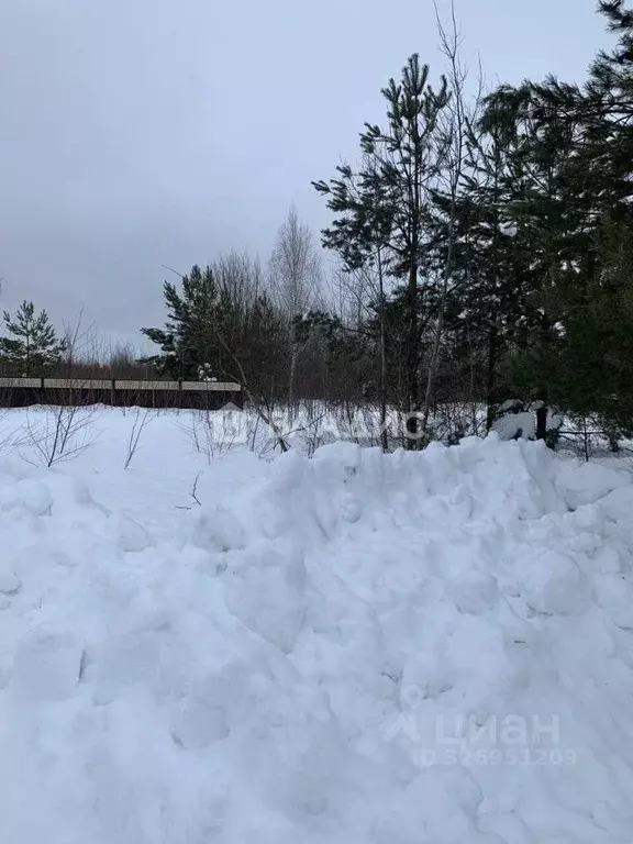 Участок в Нижегородская область, Богородский муниципальный округ, ... - Фото 1