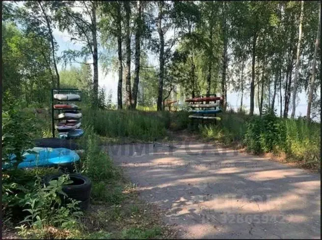 Участок в Нижегородская область, Чкаловск муниципальный округ, д. ... - Фото 1
