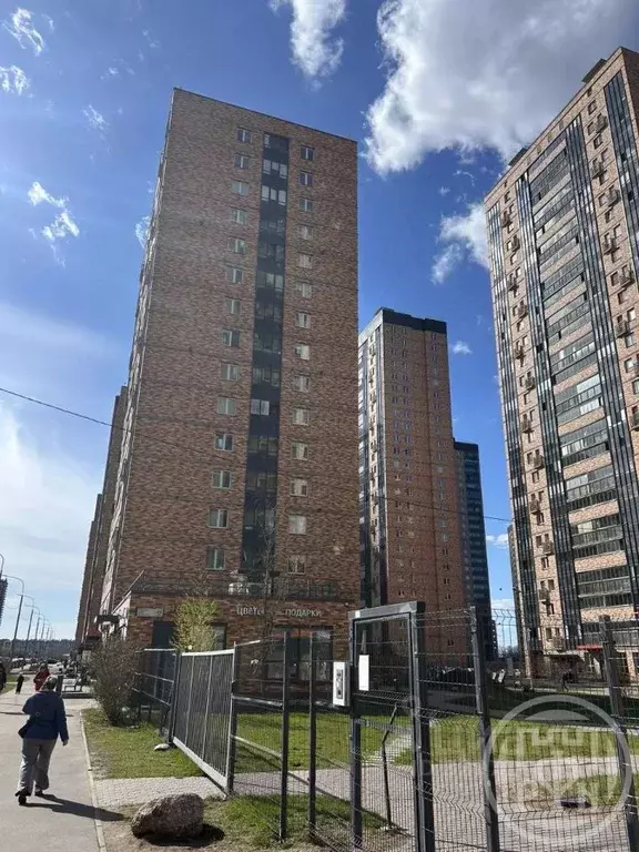 1-к кв. Санкт-Петербург пос. Парголово, Заречная ул., 44к1 (24.15 м) - Фото 1