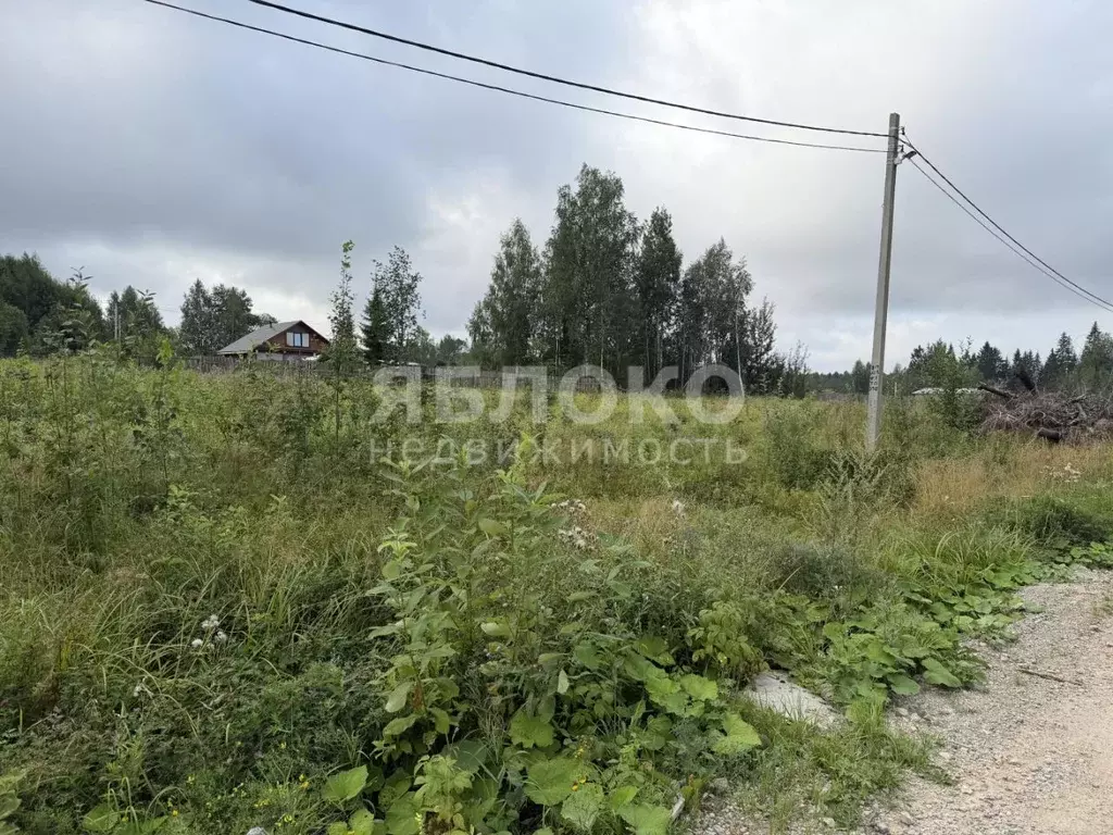 Участок в Пермский край, Березники ул. Монетная, 8 (14.0 сот.) - Фото 1