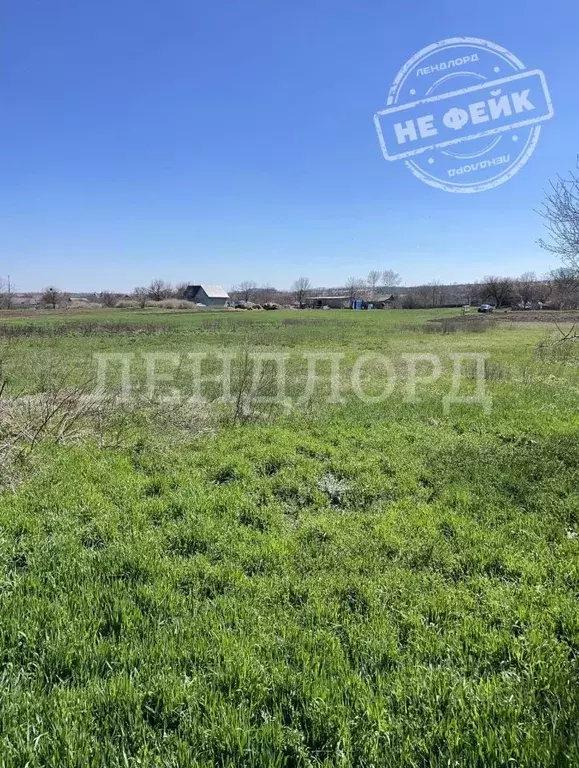 Участок в Ростовская область, Родионово-Несветайский район, ... - Фото 1
