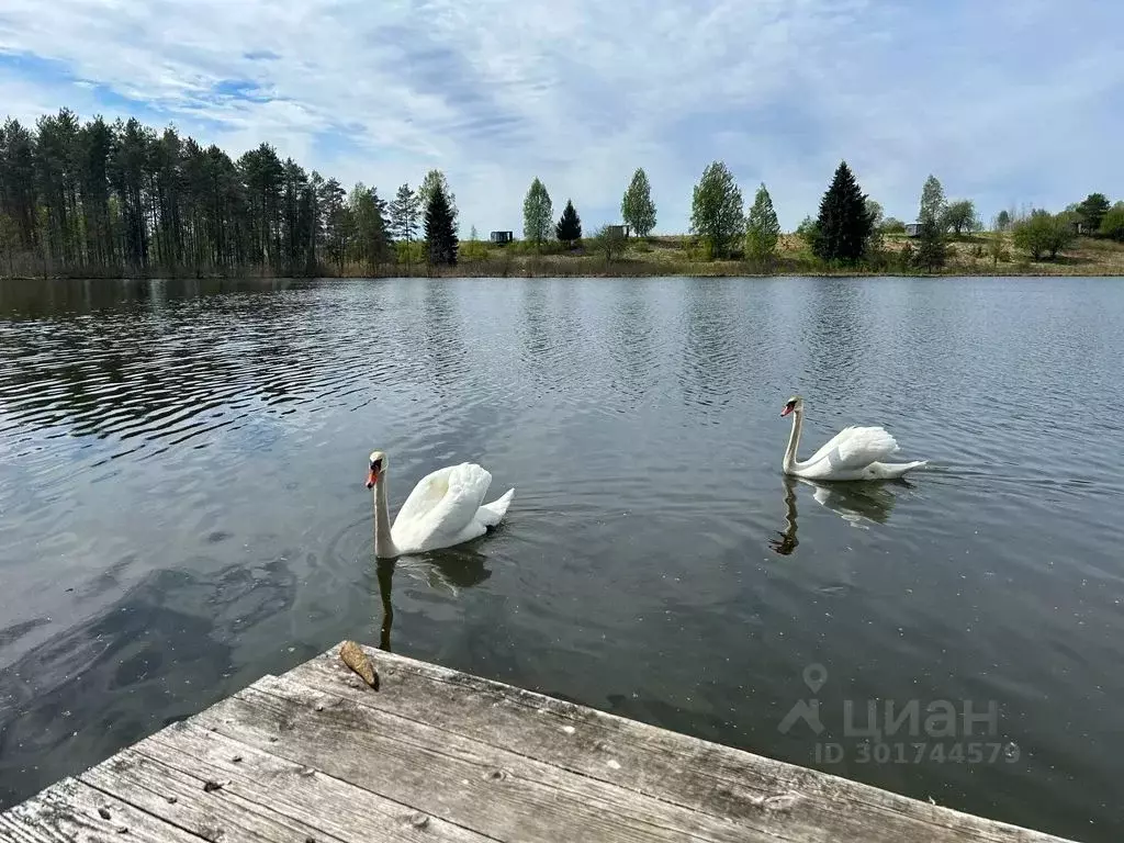 Дом в Псковская область, Псковский муниципальный округ, Торошинская ... - Фото 1