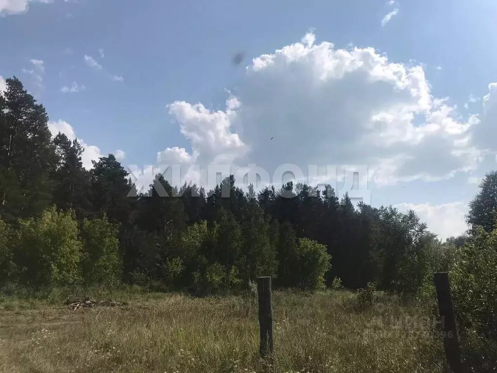 Участок в Новосибирская область, Ордынский район, д. Абрашино ... - Фото 1