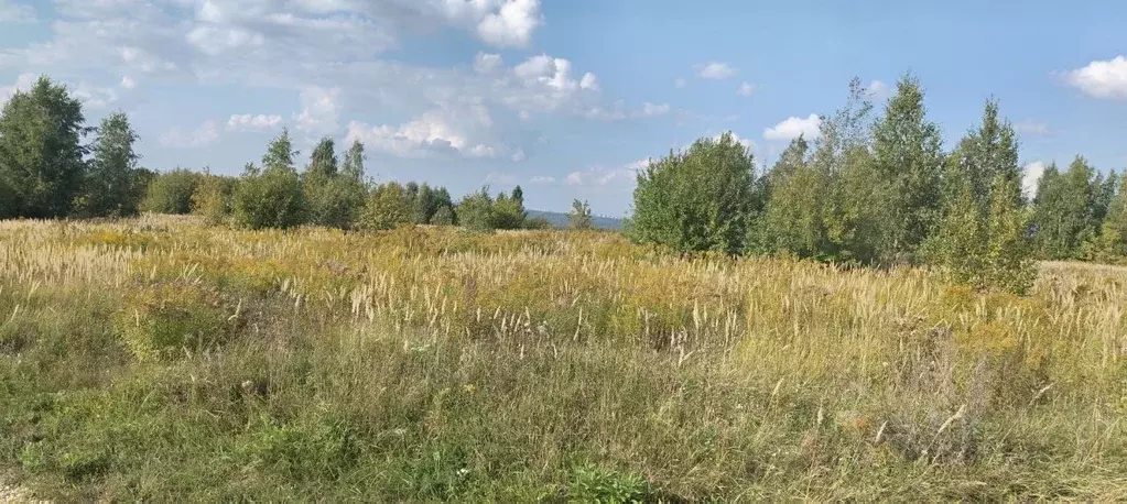 Участок в Нижегородская область, Кстовский муниципальный округ, с. ... - Фото 1
