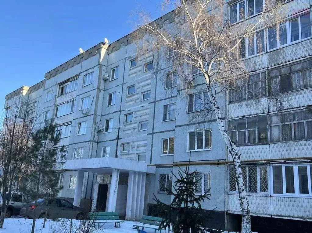 3-к кв. Самарская область, Чапаевск Коммунальная ул., 6 (66.4 м) - Фото 1