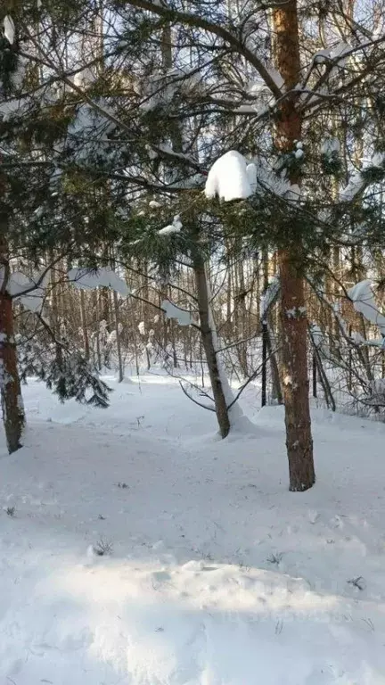Участок в Московская область, Чехов муниципальный округ, д. Люторецкое ... - Фото 2