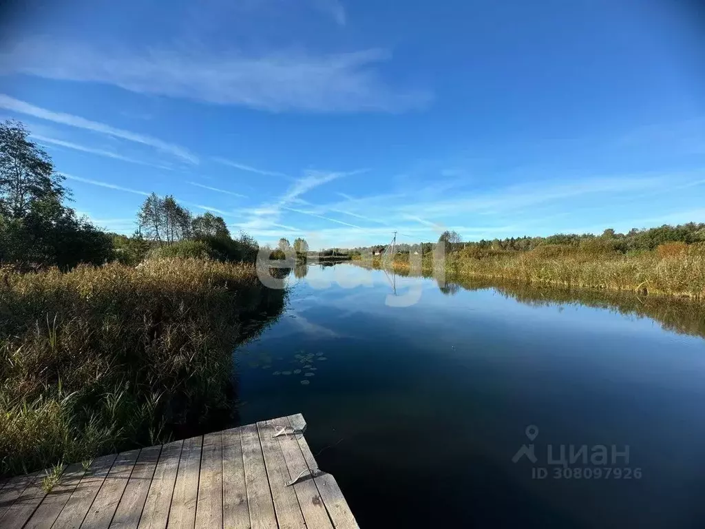 Участок в Костромская область, Красносельский район, Шолоховское ... - Фото 0