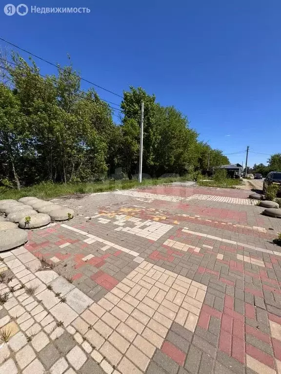Участок в Новомосковск, Транспортная улица (1.64 м) - Фото 0