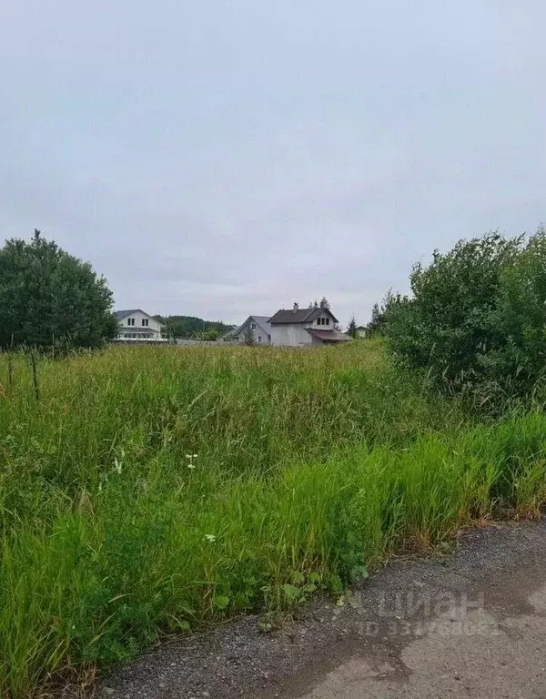 Участок в Ленинградская область, Ломоносовский район, Ропшинское ... - Фото 2