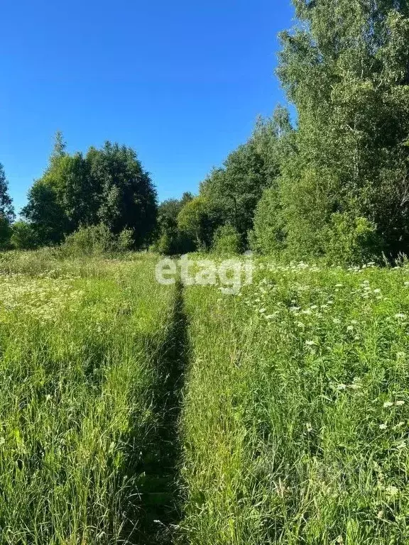 Участок в Ленинградская область, Всеволожский район, Куйвозовское ... - Фото 0