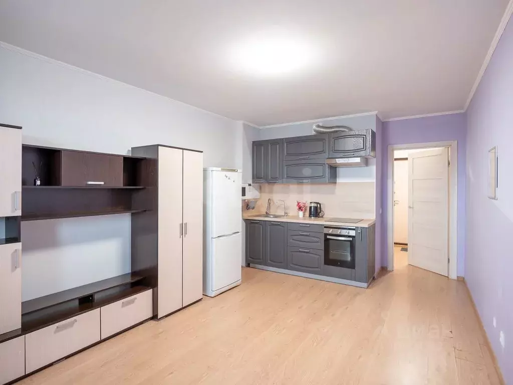 Студия Санкт-Петербург просп. Энергетиков, 9к3 (25.0 м) - Фото 2