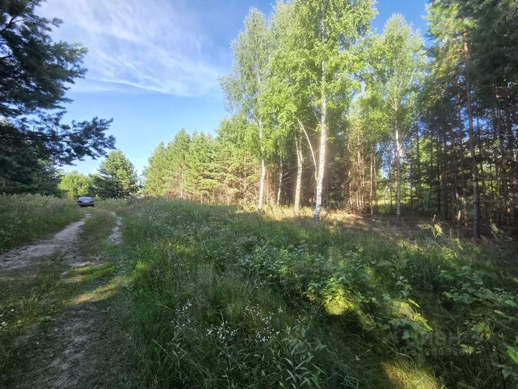 Участок в Марий Эл, Волжск Мамасево мкр,  (8.0 сот.) - Фото 2