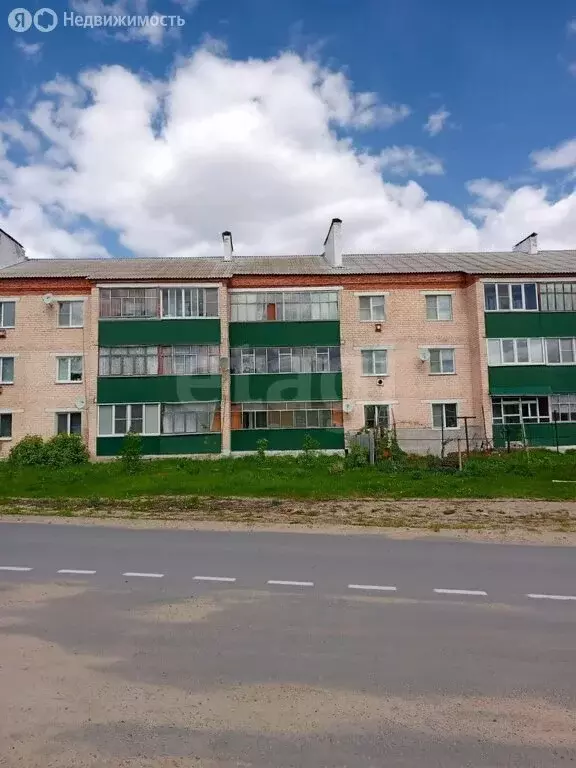 3-комнатная квартира: село Большие Березники, улица Кирова, 22 (58.6 ... - Фото 0