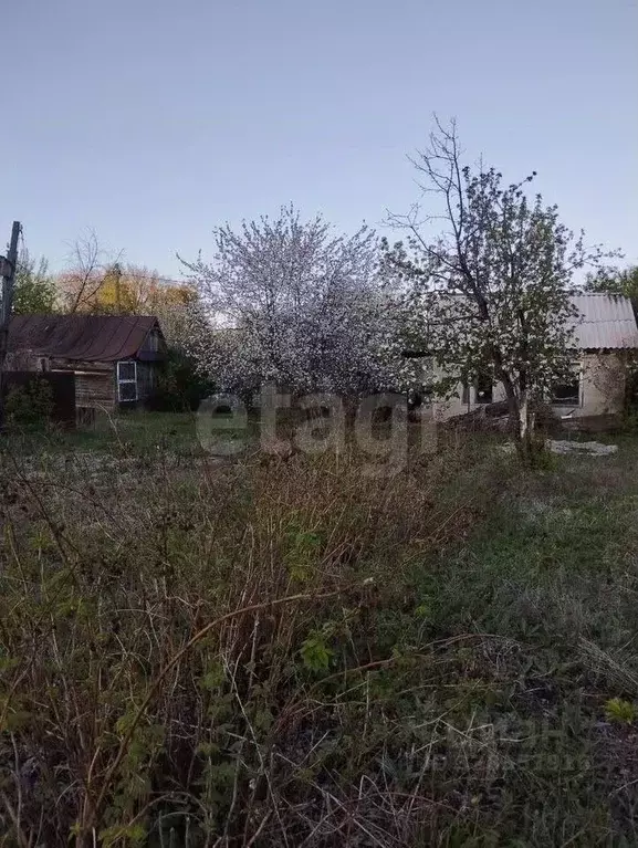 Участок в Оренбургская область, Оренбургский район, Степановский ... - Фото 2