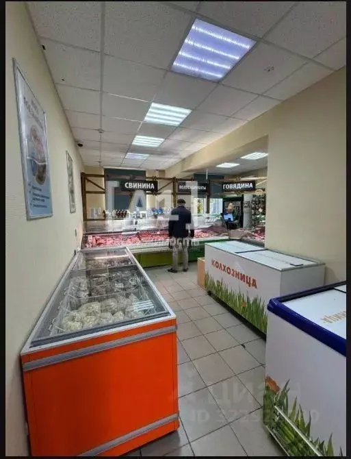 Торговая площадь в Челябинская область, Челябинск ул. Гагарина, 30 ... - Фото 1