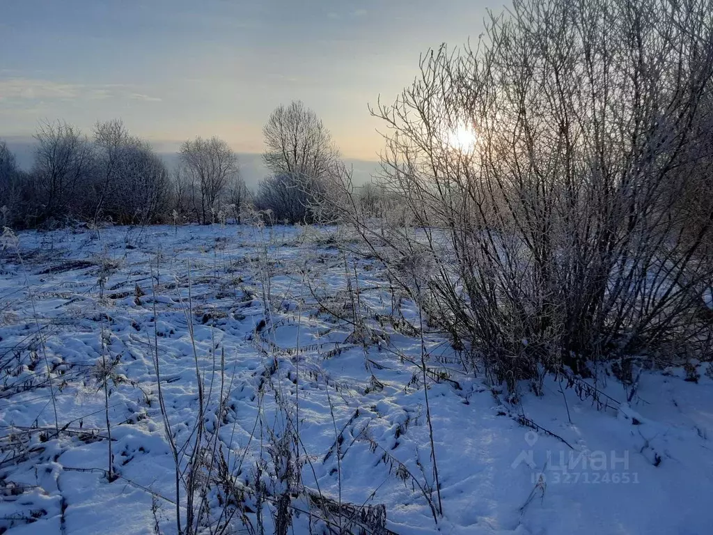 Участок в Псковская область, Псковский район, Завеличенская волость, ... - Фото 1
