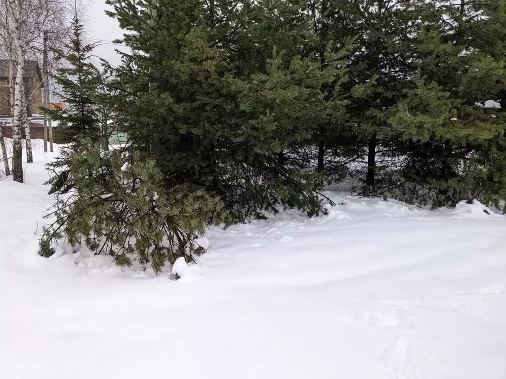 Участок в Московская область, Щелково городской округ, д. Соколово ул. ... - Фото 0