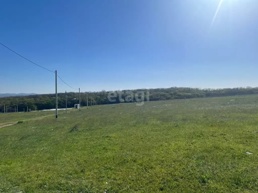 Участок в Краснодарский край, Новороссийск городской округ, ... - Фото 0