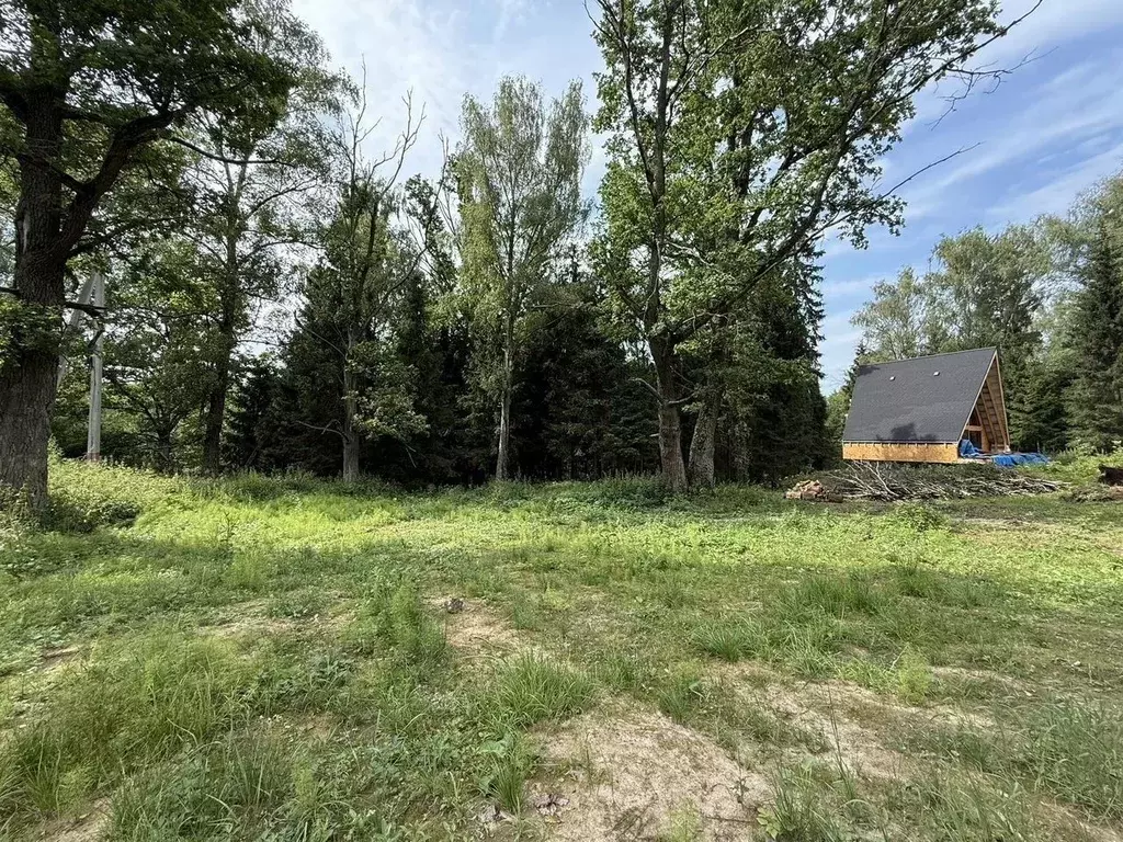 Участок в Московская область, Рузский муниципальный округ, Тучково ... - Фото 2