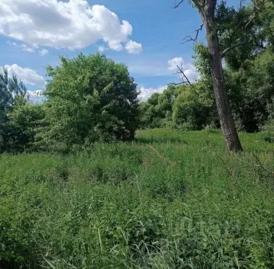 Участок в Московская область, Серпухов городской округ, д. Сераксеево ... - Фото 1