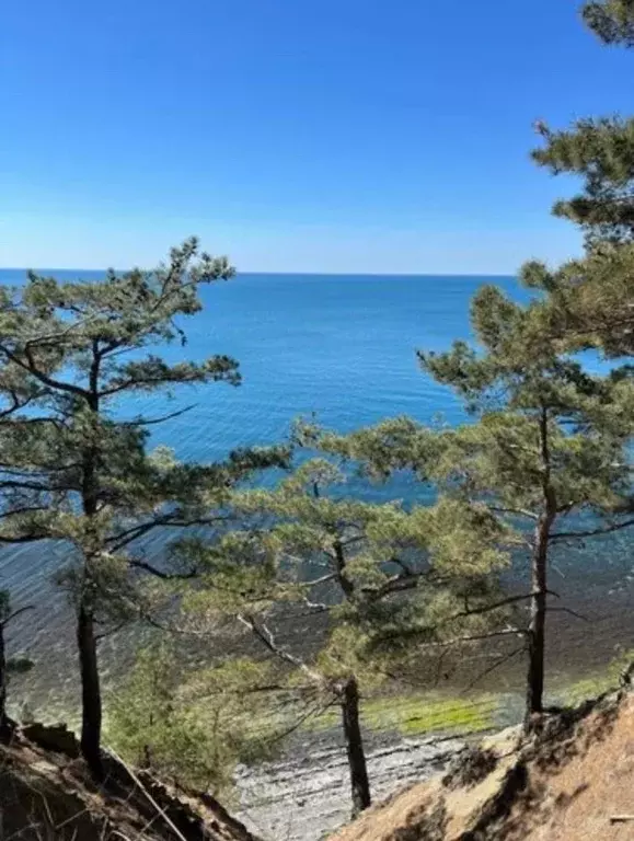 Участок в Краснодарский край, Геленджик муниципальное образование, с. ... - Фото 1