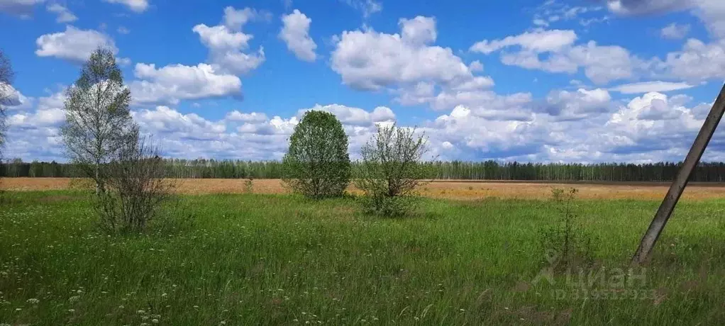 Участок в Московская область, Шатура муниципальный округ, д. Маврино  ... - Фото 0