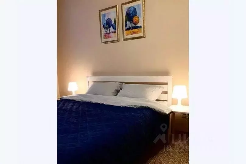2-к кв. Татарстан, Набережные Челны просп. Вахитова, 27 (54.0 м) - Фото 2