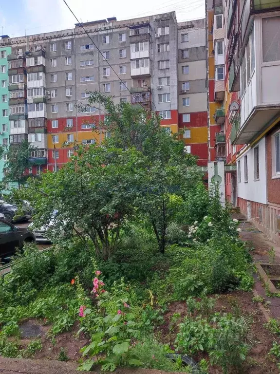 3-к кв. Нижегородская область, Нижний Новгород Гордеевская ул., 56 ... - Фото 0