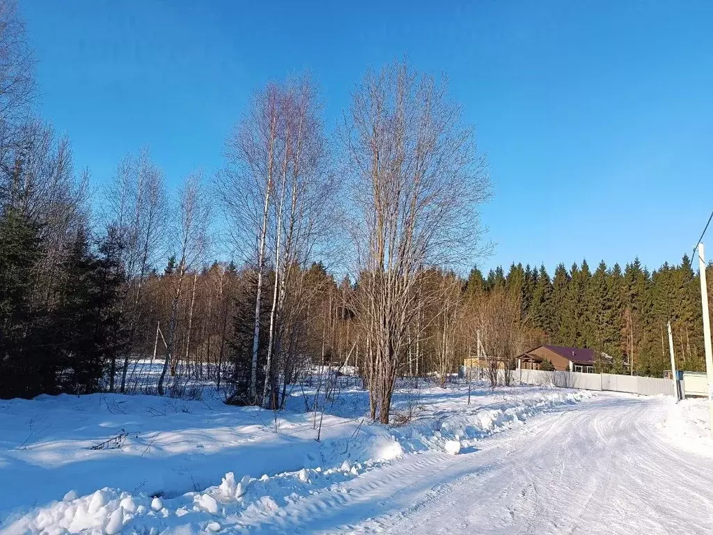 Участок в Московская область, Клин городской округ, Решетниково рп, ... - Фото 1