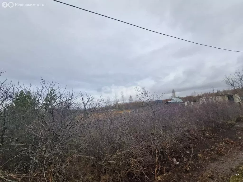 Участок в Ульяновск, СНТ Весна (6 м) - Фото 0