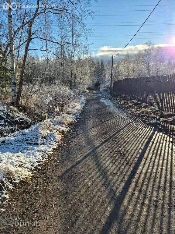 Участок в Выборгский район, Первомайское сельское поселение, СНТ ... - Фото 2