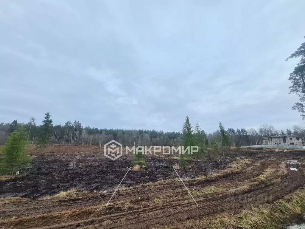 Участок в Ленинградская область, Выборгский район, Первомайское с/пос, ... - Фото 2