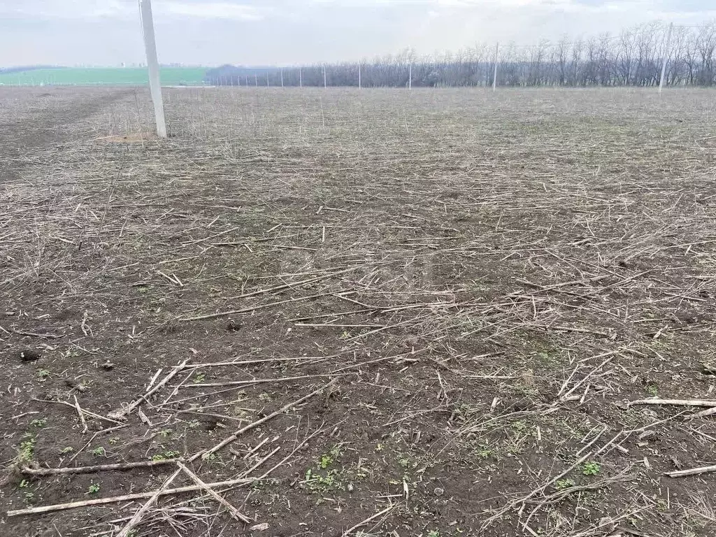 Участок в Ростовская область, Мясниковский район, с. Большие Салы ул. ... - Фото 1