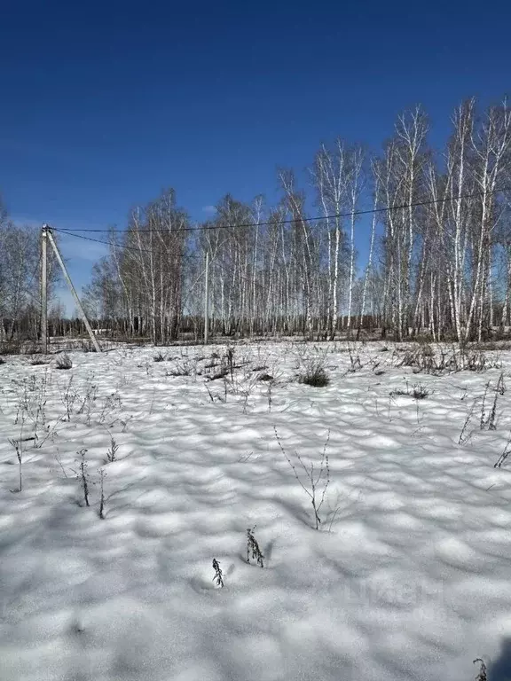 Участок в Челябинская область, Сосновский муниципальный округ, Городок ... - Фото 1