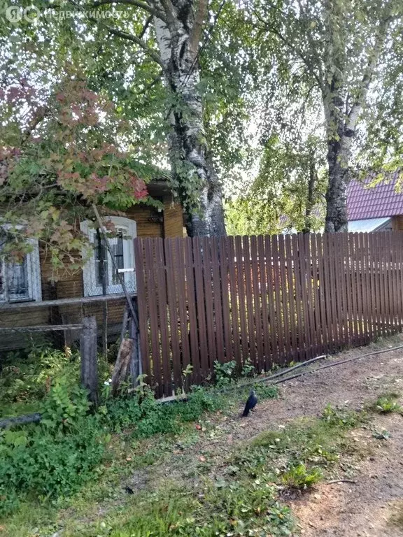 Участок в Вологда, Заболотный переулок, 35 (11 м) - Фото 0