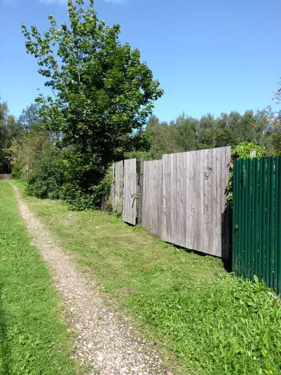 Участок в Московская область, Солнечногорск городской округ, ЗЭМ СНТ 4 ... - Фото 2
