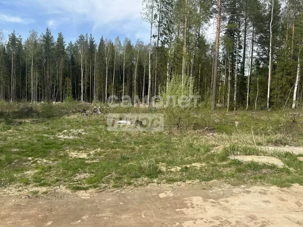 Участок в Коми, Сыктывкар городской округ, Краснозатонский пгт 1-я ... - Фото 1