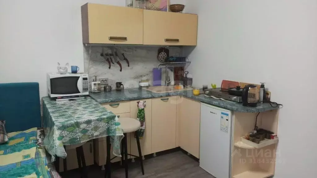 Студия Санкт-Петербург просп. Буденного, 23к5 (24.7 м) - Фото 1