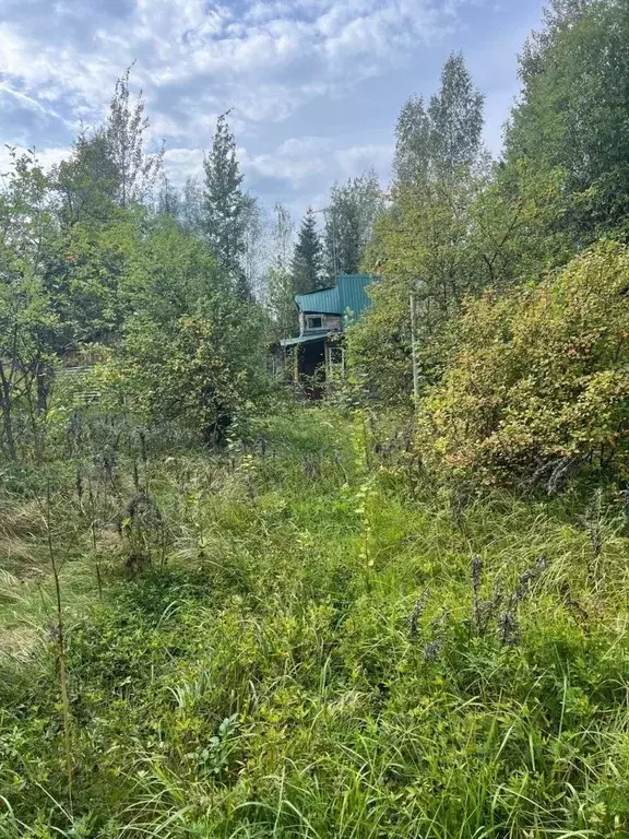 Участок в Ленинградская область, Лужский район, Мшинское с/пос, ... - Фото 1