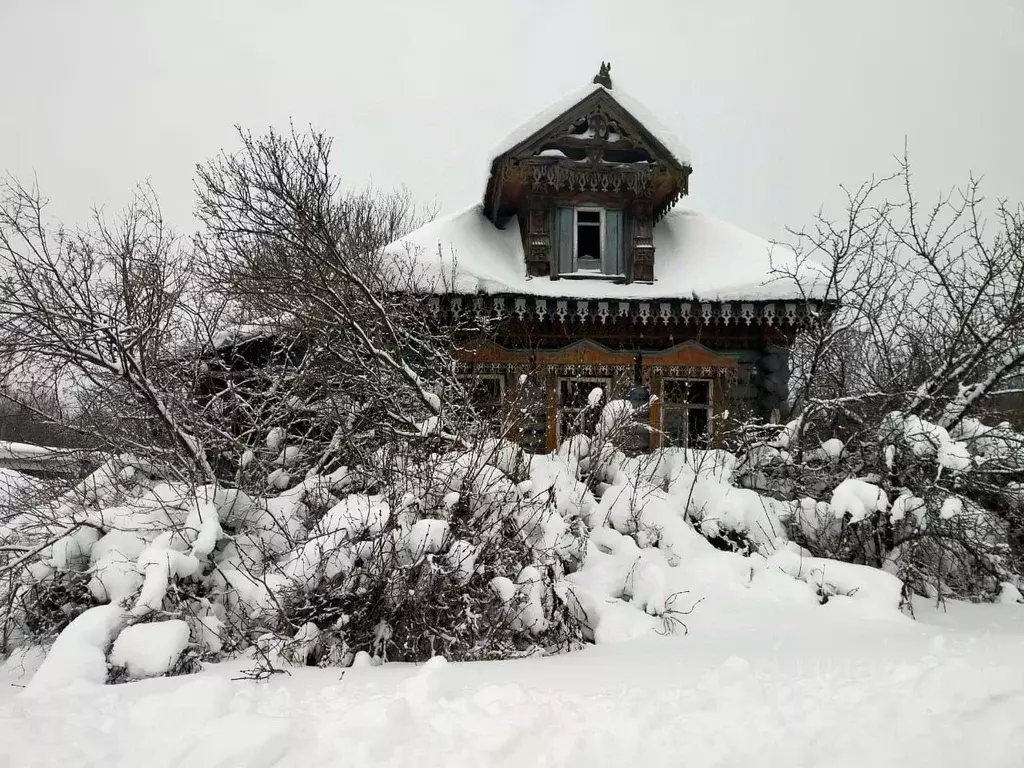 Участок в Владимирская область, Селивановский район, Малышевское ... - Фото 1