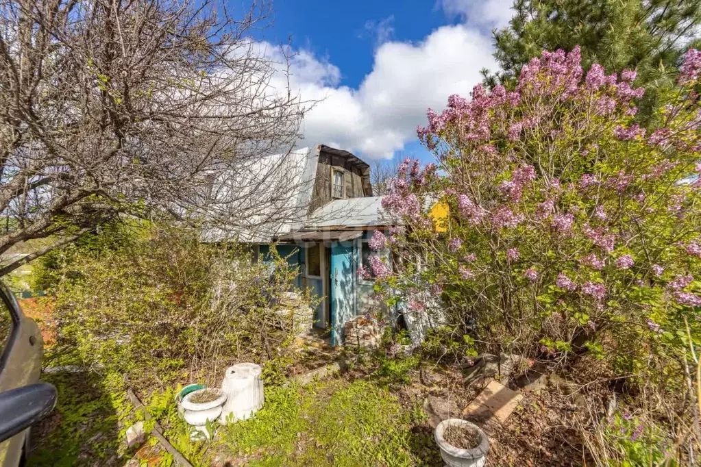Дом в Хабаровский край, Хабаровский район, Новинка СНТ 33 (20 м) - Фото 1